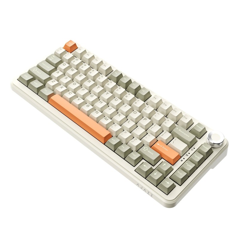AJAZZ AK820 MAX Plus Retro Colour – Flying Fish Switch