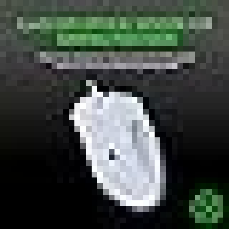 Razer DeathAdder Essential (2021) - Wired Gaming Mouse (Optical Sensor, 6400 DPI, 5 Programmable Buttons, Ergonomic Form Factor) White/Black
