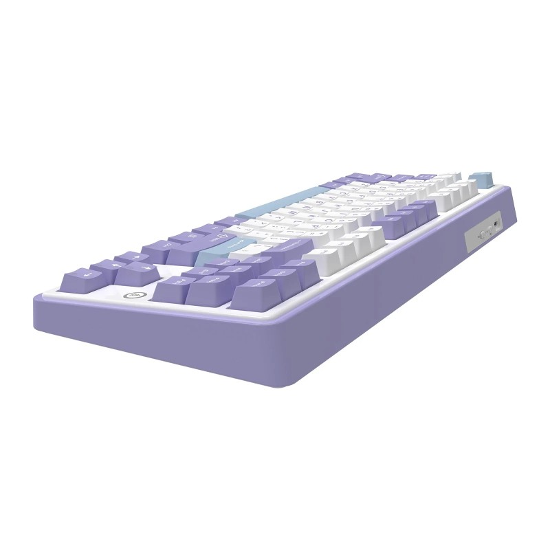 AK870 Gift Switch Purple-White-Blue-3 Mode-RGB