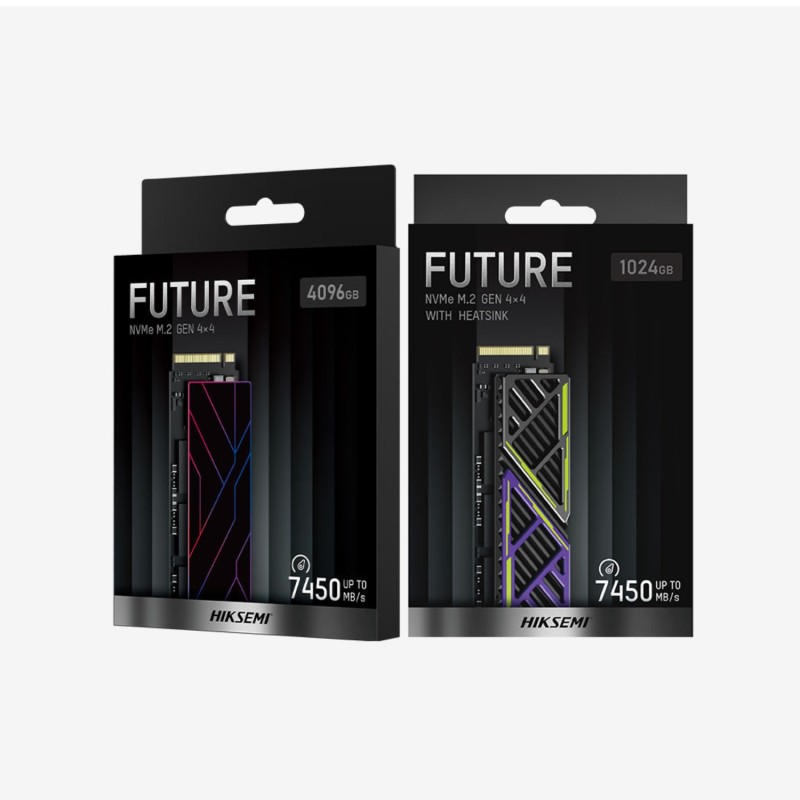 1 TB HIKSEMI FUTUREX NVMe M.2 SSD 2280 PCIe 4.0 (HS-SSD-FUTUREX 1024G) - Up To 7450MB/s