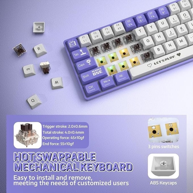 Ajazz AK680 65% Wired Hotswap Mechanical Gaming Keyboard, 68 Keys Portable Anti-Ghosting, Rainbow Lighting Programmable, EVA Sandwich, Ergonomic, Sleeve Brown Switch For MAC/Win Purple