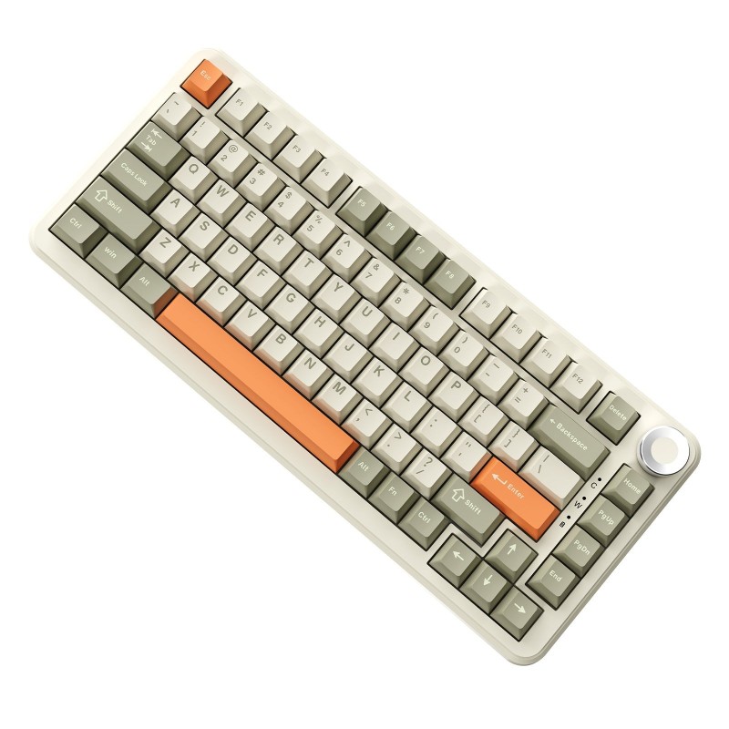 AJAZZ AK820 MAX Plus Retro Colour – Flying Fish Switch