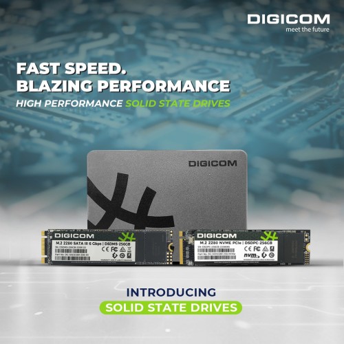DIGICOM 256 GB M.2 NVME SSD