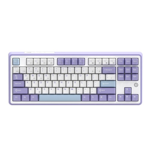 AK870 Gift Switch Purple-White-Blue-3 Mode-RGB