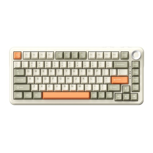 AJAZZ AK820 MAX Plus Retro Colour – Flying Fish Switch