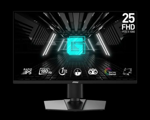 MSI G255PF E2 24.5″ Gaming Monitor