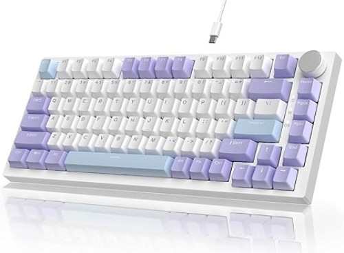 AJAZZ AK820 Sea Salt Switch Wired Mechanical Keyboard – Hot-Swappable PCB, Aluminum Build, Per-Key RGB, N-Key Rollover, Detachable USB-C, Media Controls